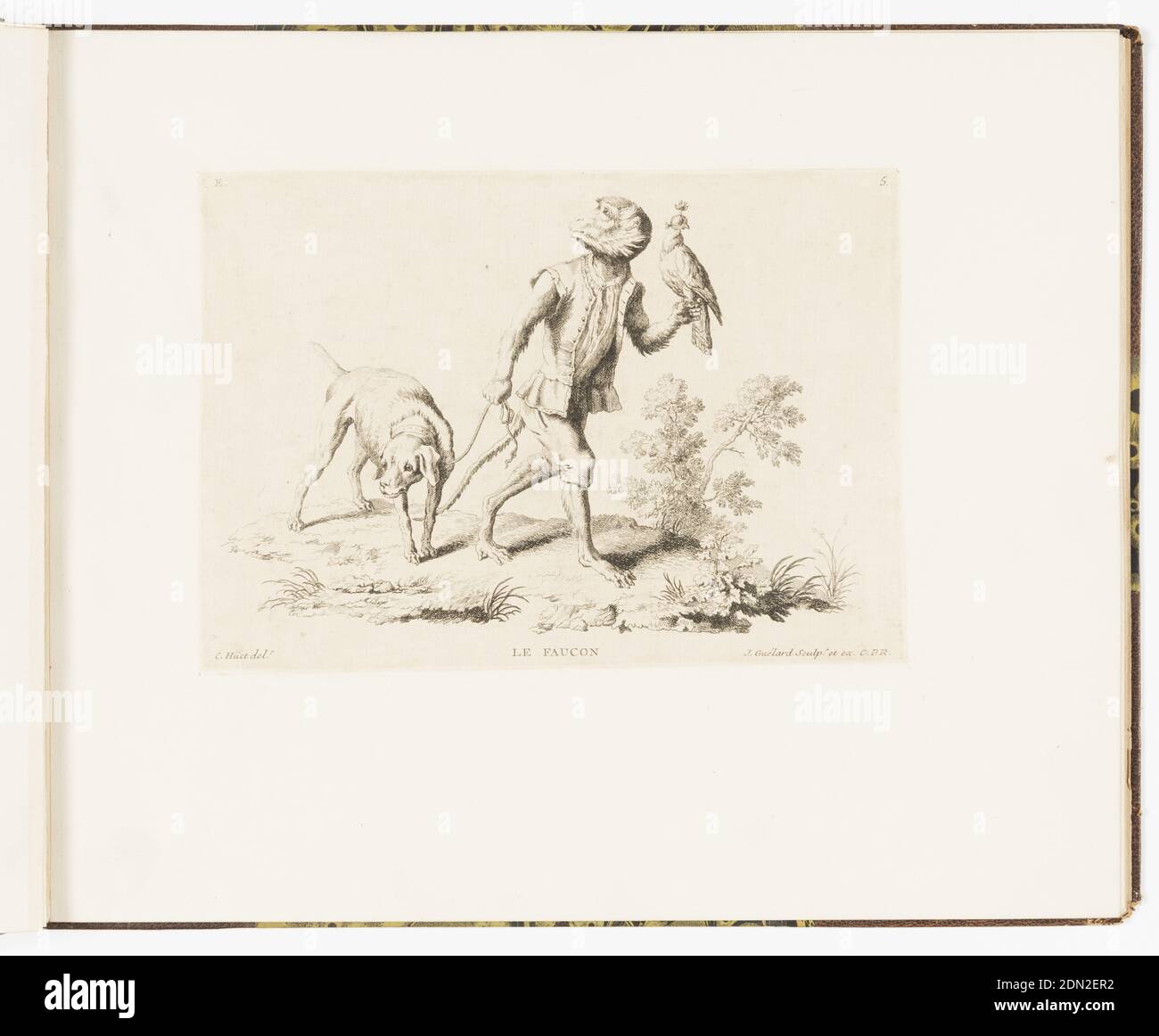 Plate 5, Le Faucon (The Falcon), Singeries ou différentes actions de la vie humaine représentées par des singes (Monkey Antics or Different Actions of Human Life Represented by Monkeys), Christophe Huet, French, 1700–1759, Jean-Baptiste-Antoine Guelard, French, 1719–ca. 1755, Charpentier, Paris, France, Etching on paper, Plate 5 of a series of 23 prints featuring monkeys acting as humans in various figural scenes. In an outdoor setting, a figure of a male monkey dressed as a gentleman hunter, wearing a waistcoat with buttons, tunic, and pants. He holds a falcon wearing blinders Stock Photo