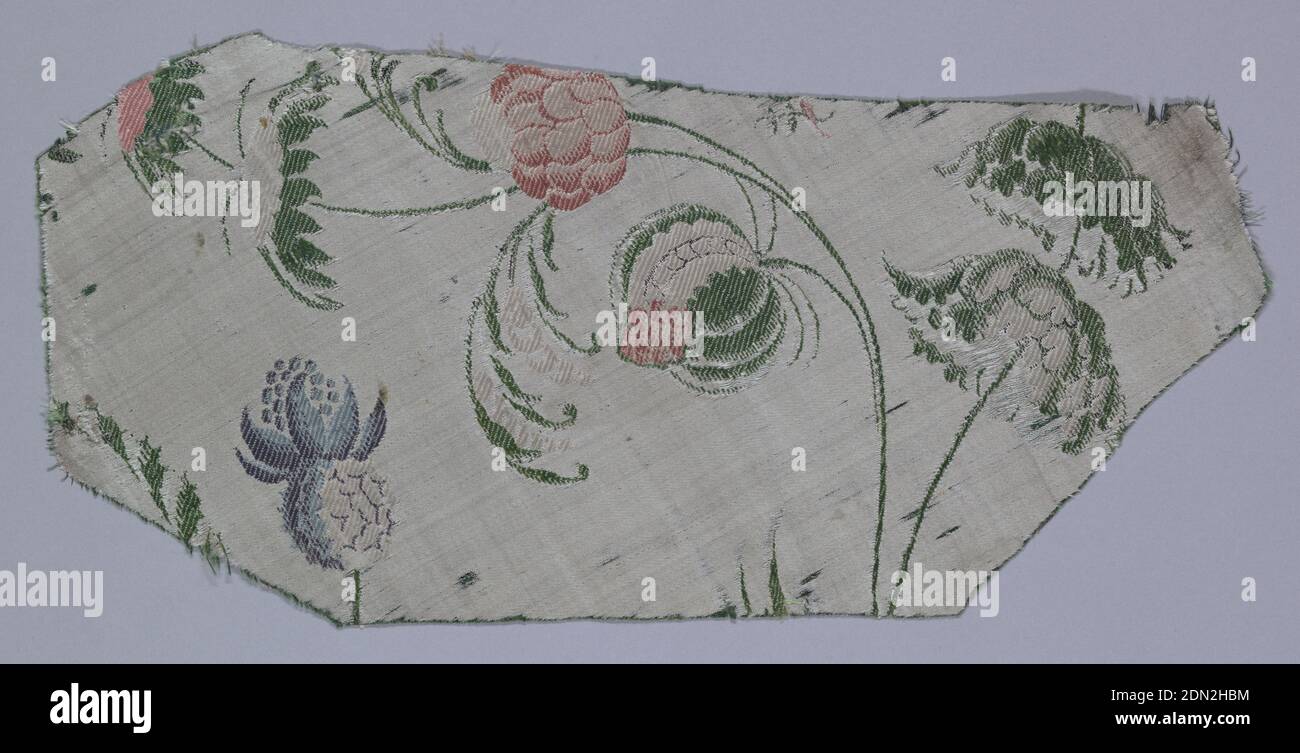 Fragment, Medium: silk Technique: compound satin weave with discontinuous supplementary weft patterning (brocade), White satin ground with slender curving stems with exotic foliage, flowers and fruits. Some of the design is figured in supplementary green wefts; other details brocaded in white, rose, blue and black., France, 1750–1800, woven textiles, Fragment Stock Photo