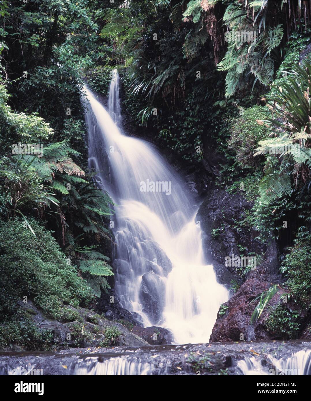 Lamington National Park
