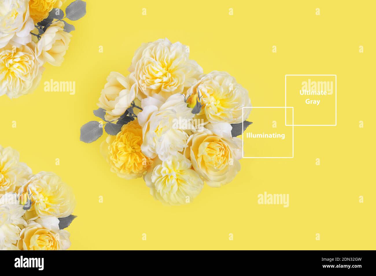 Festive flower composition on the yellow background. Overhead view Stock Photo