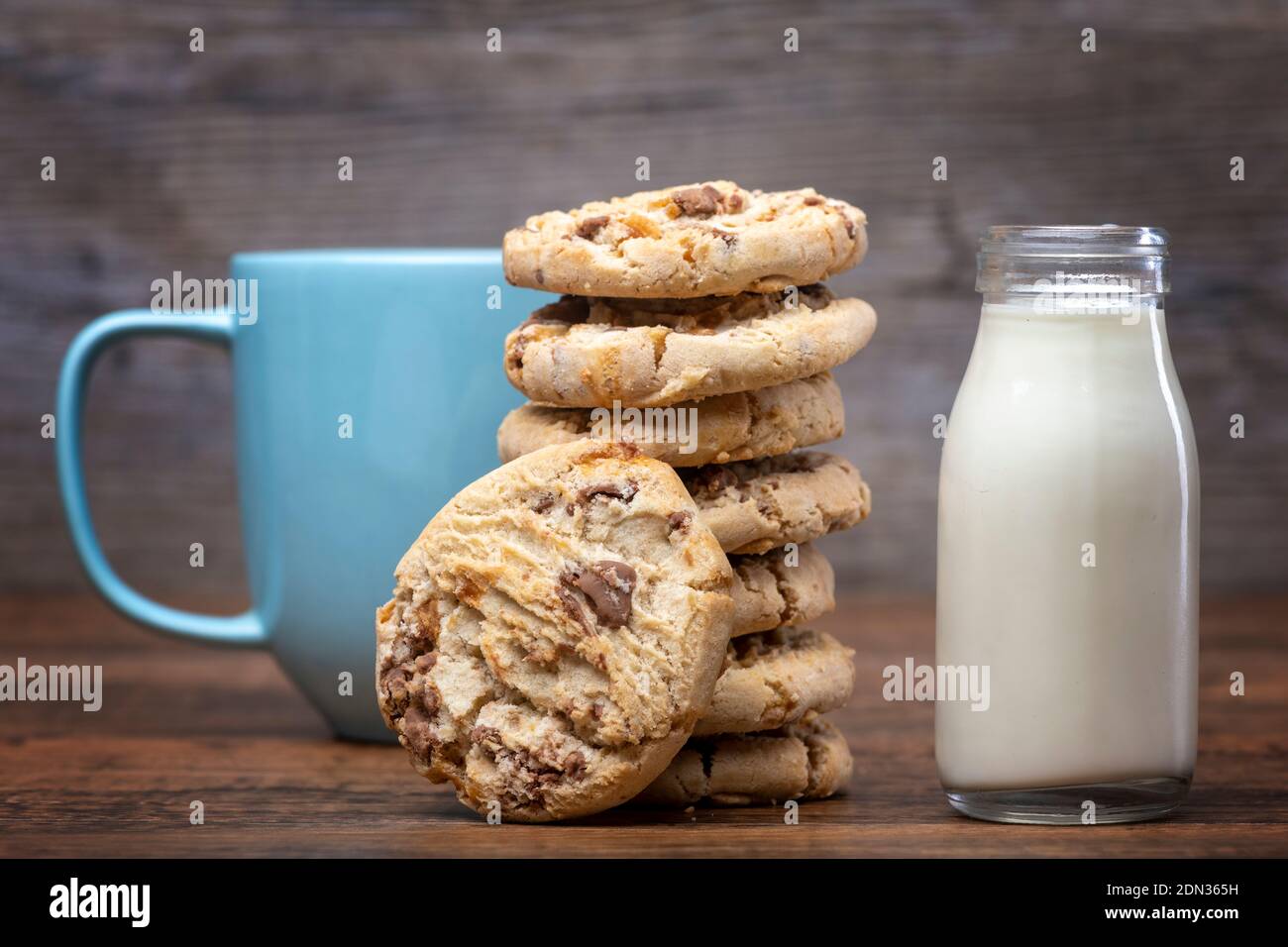 Milk and chocolate chip cookies. Stock Photo
