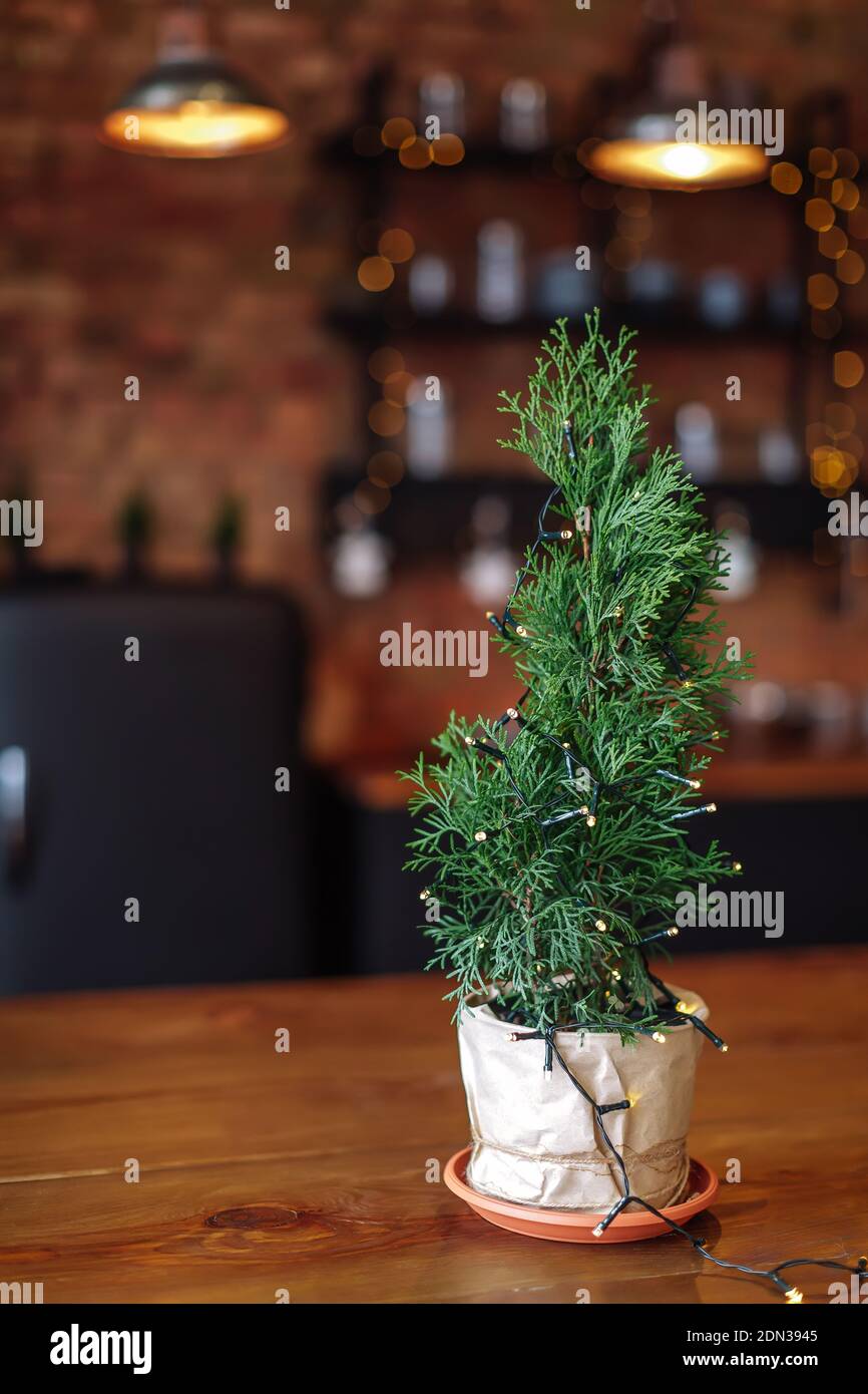 Small tree with garland in Stylish loft interior of kitchen with many lights. Concept of preparing Christmas Eve and New Year party, selective focus Stock Photo