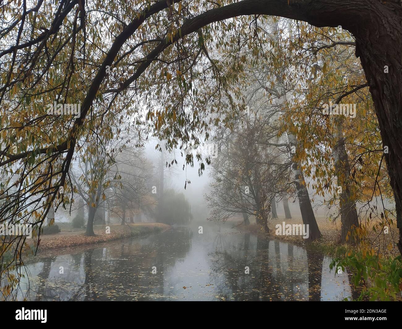autumn morning at a forest lake with fog and beautiful warm colors and ...