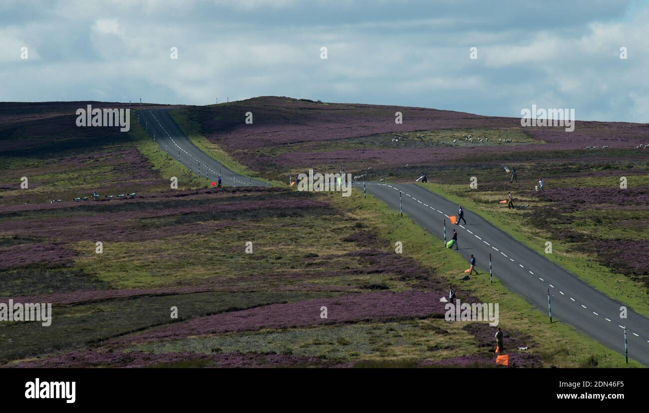 An organised grouse shoot showing the beaters crossing a road over the heather moos with flags to raise the grouse into the air Stock Photo