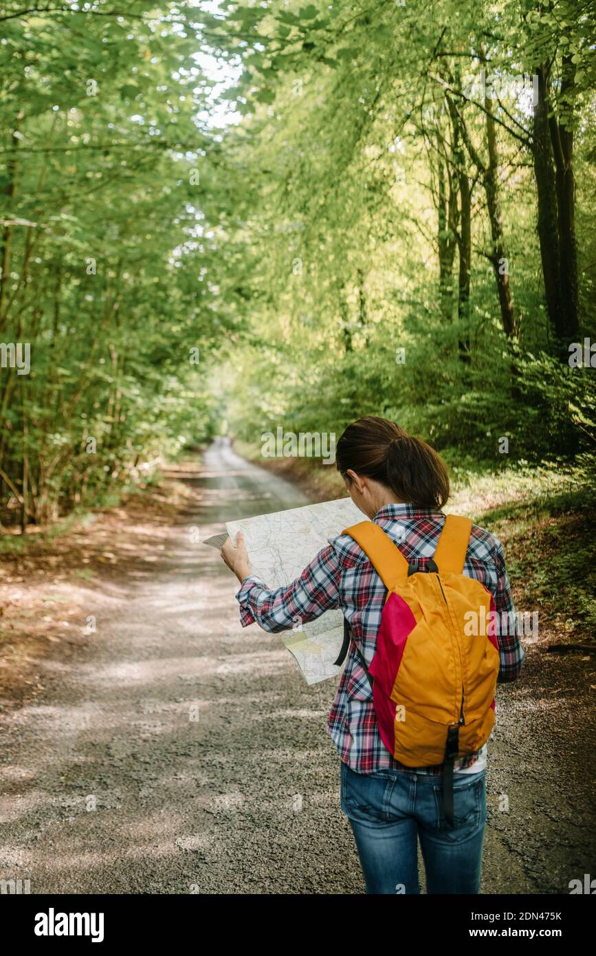 woman walker with a backpack reading a map, forest road, back view. Stock Photo