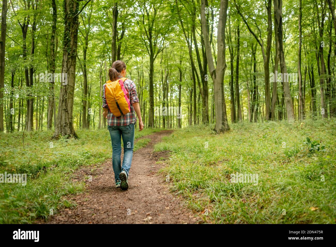 Woman trekking woodland trail hi-res stock photography and images - Alamy