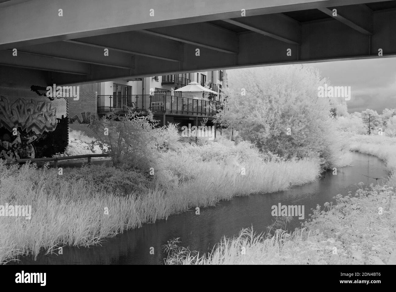 A summertime view along the Taunton and Bridgwater canal in Taunton