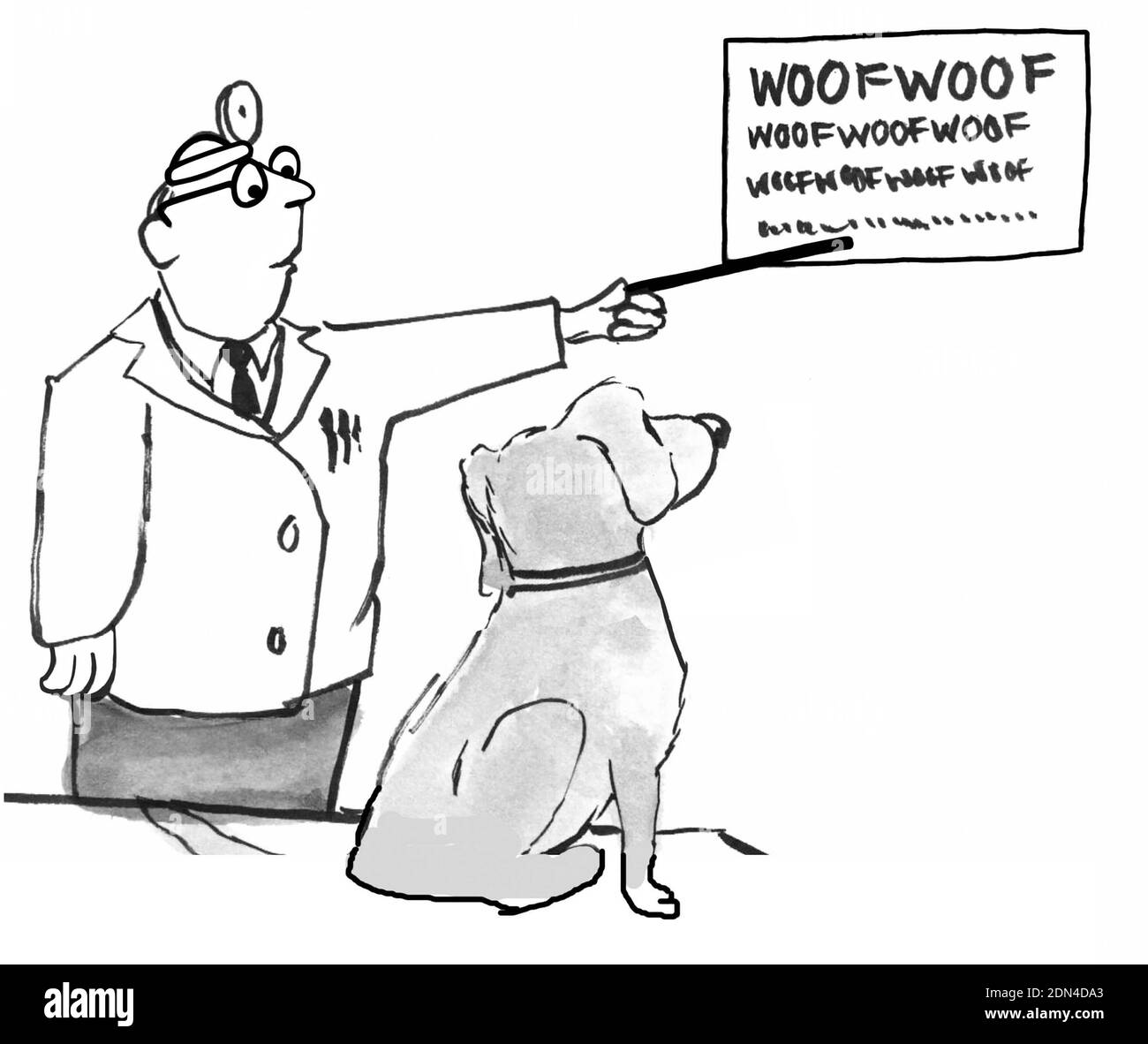 Dog is given eye exam with ever shrinking letters that spell the word WOOF Stock Photo