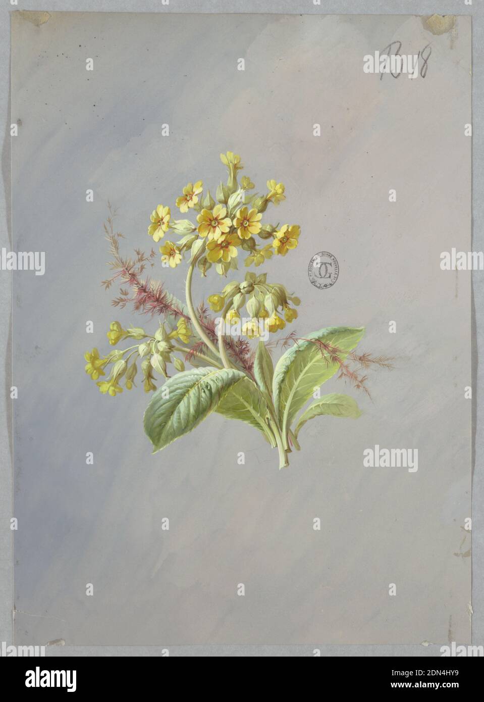 Design for Wallpaper and Textiles: Flowers, Brush and gouache on light blue paper, At center of page three clusters of yellow flowers with foliage at base. Behind flowers, two stems of brown foliage., France, 19th century, wallpaper designs, Drawing Stock Photo