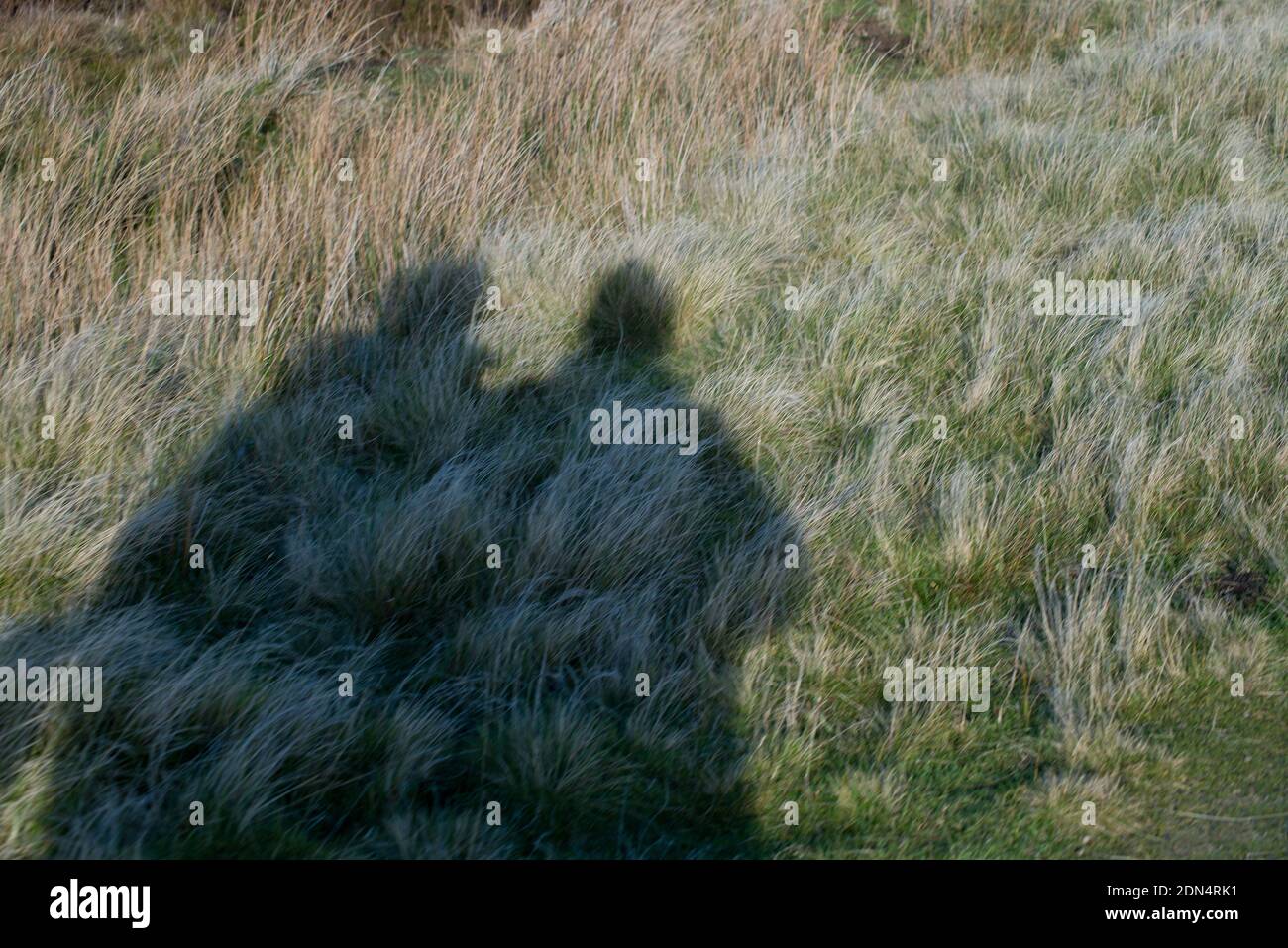 A simple image of the shadows of two people standing close together on open grassland Stock Photo