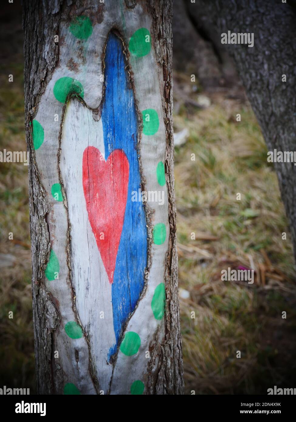 red heart graffiti on tree trunk Stock Photo