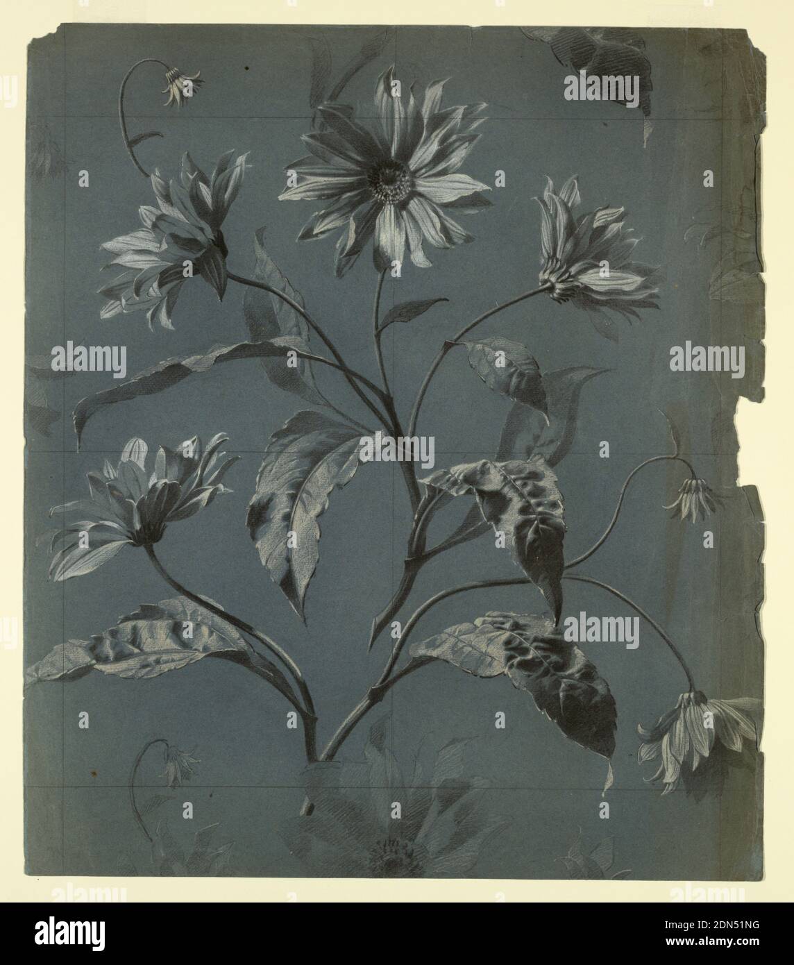 alamy