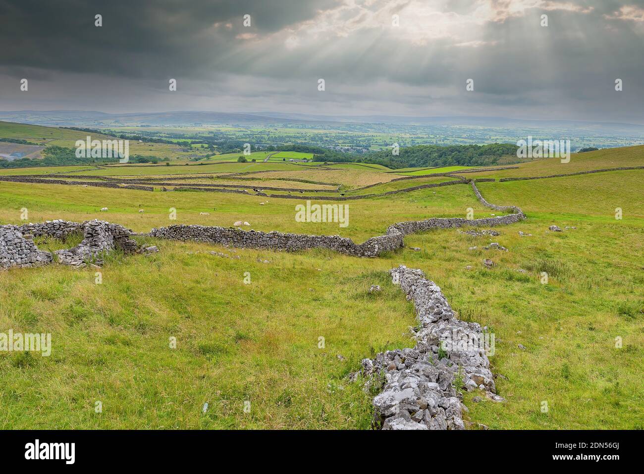 Cotterdale, Yorkshire Dales National Park, York, Uk - A view of the rolling landscape of the Yorkshire Dales. Stock Photo