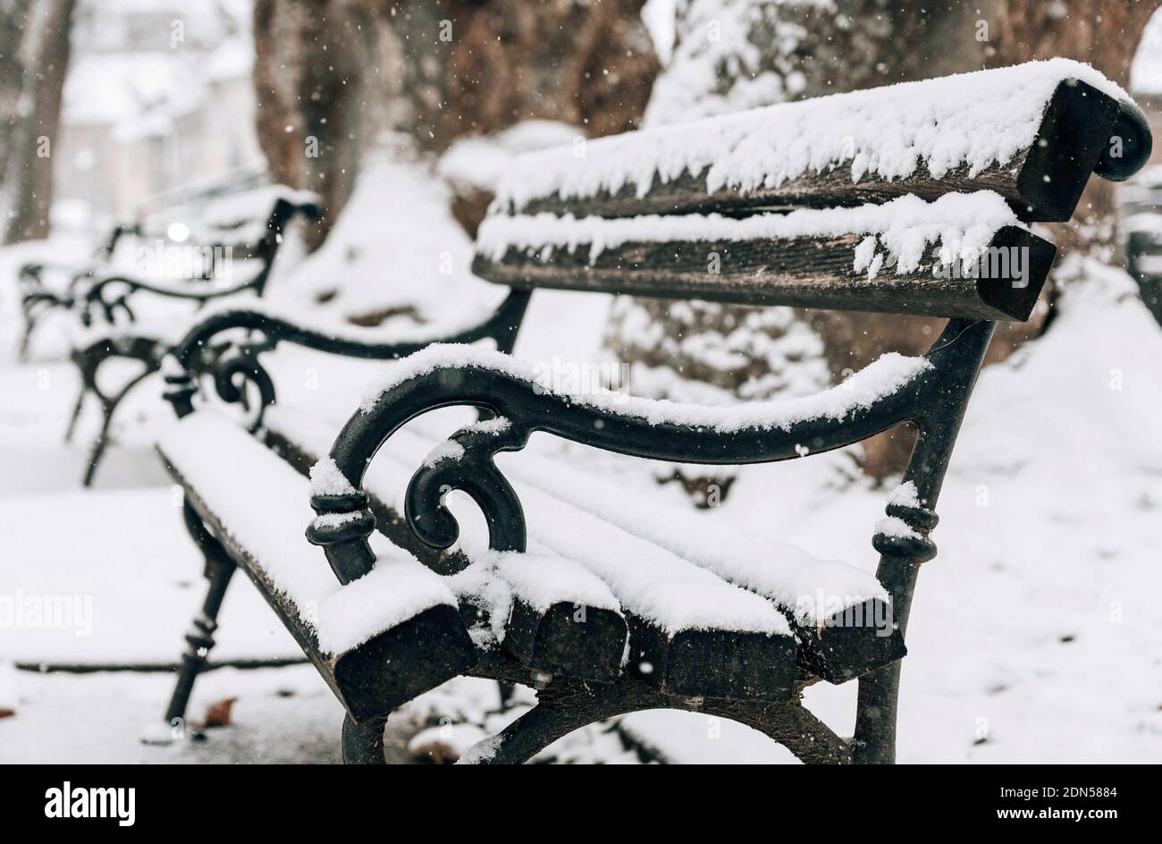 A wooden bench covered with snow in the park Stock Photo - Alamy