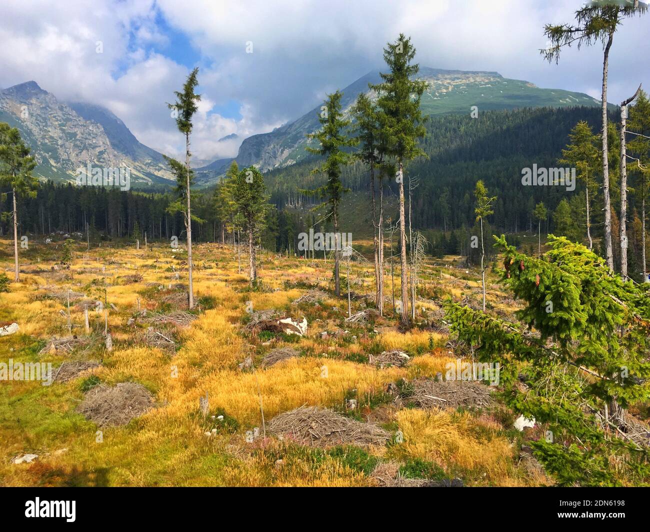 Scenic View Of Trees And Mountains Against Sky Stock Photo