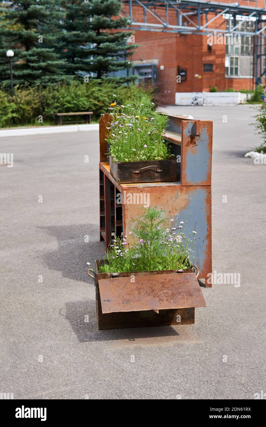landscaping in rusty iron boxes on the territory of the factory turned into a public space Stock Photo