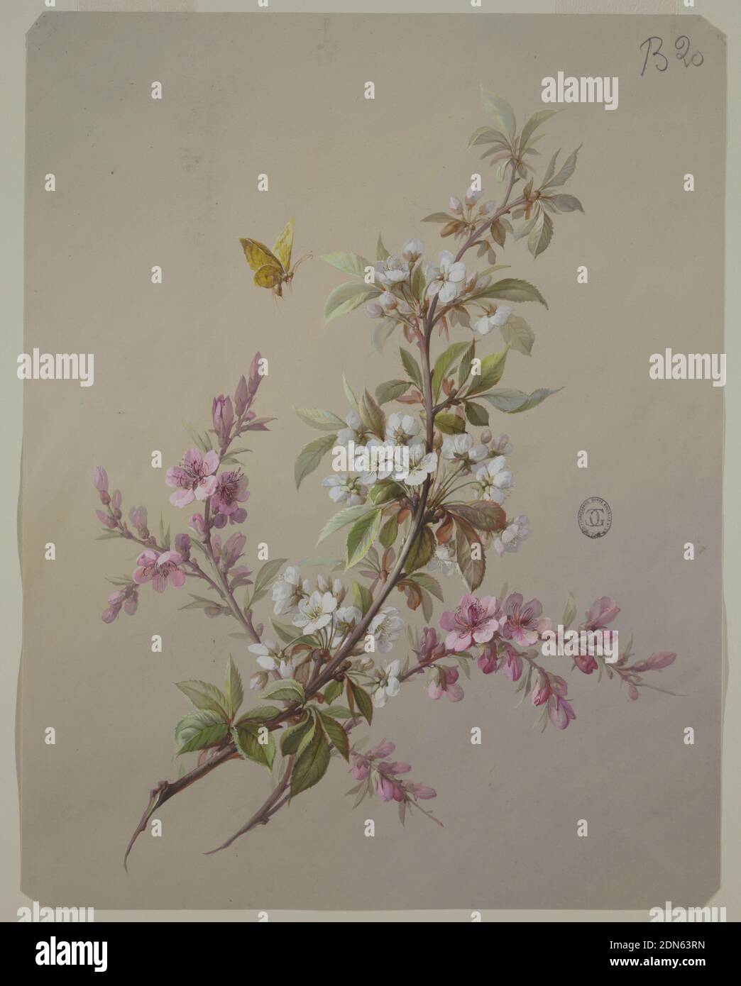 Design for Wallpaper and Textiles: Flowers and Birds, Brush and gouache on beige paper, Branch with clusters of white flowers and foliage, placed diagonally, top towards the right. Toward bottom of branch, two more branches of purple flowers cross and extend beyond white branch on either side. A yellow butterfly flies towards the upper left of the white branch., France, 19th century, wallpaper designs, Drawing Stock Photo