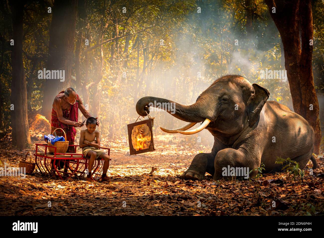 Elephant Carrying Mirror In Trunk While Man Cutting Hair Of Boy At Forest Stock Photo - Alamy Elephant Carrying Mirror In Trunk While Man Cutting Hair Of Boy At Forest Stock Photo - Alamy