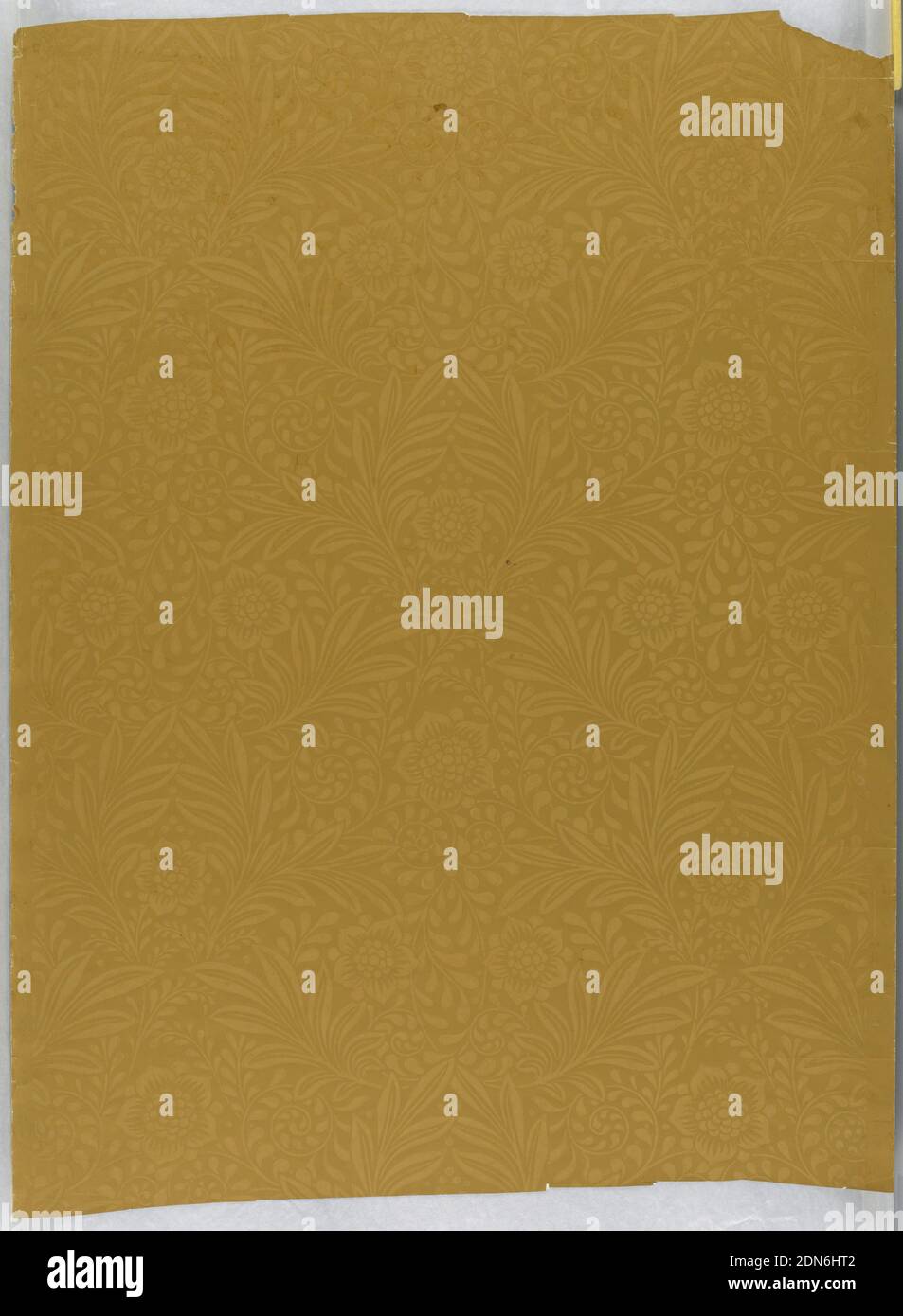 Sidewall, Machine-printed, Morris-derivative foliate and floral design. Printed in light brown on medium brown ground, with central vertical axis. Swirling leafy branches and five-petalled blossoms., USA, 1880–1900, Wallcoverings, Sidewall Stock Photo