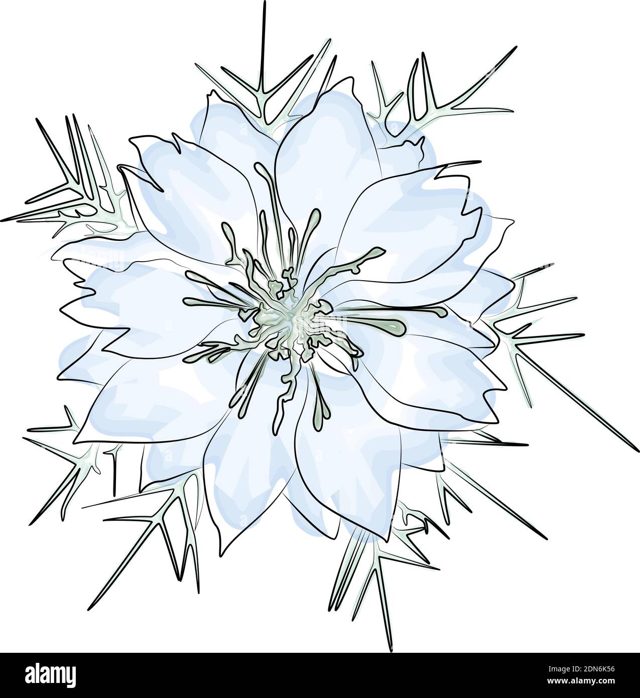 Blue flower, watercolor illustration isolated on white background. Vector EPS 10 Stock Vector