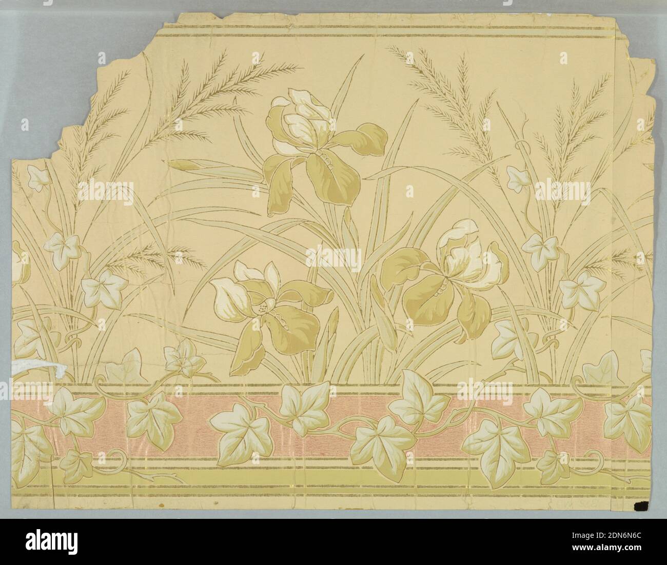 Frieze, Machine-printed, Tan background with white and beige iris design outlined in gold., USA, 1875–1900, Wallcoverings, Frieze Stock Photo