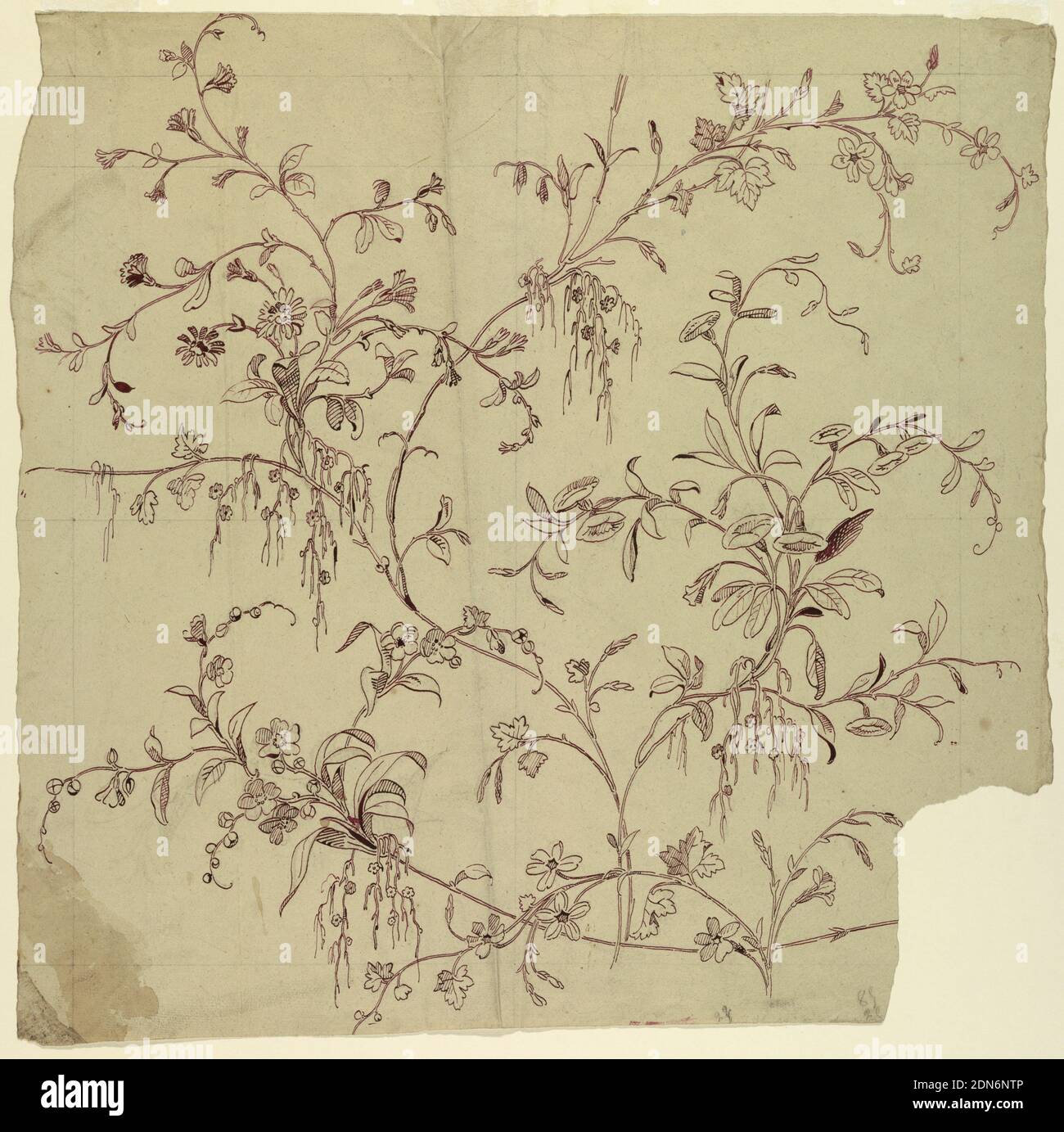 Design for a Woven or Printed Fabric or Wallpaper, Graphite, brush and purple watercolor on paper, One repeat is shown consistsing of undulated rising flower stems which are crossed at the bottoms by a horizontally disposed bough. Right bottom: figures, in pencil. Verso: account and remnants of another line: '3 pieces'; the last line: '3- frames'., France, 1815–1840, Drawing Stock Photo