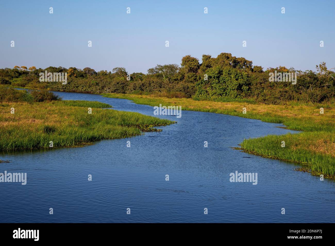 Mato grosso brazil landscape hi-res stock photography and images - Alamy