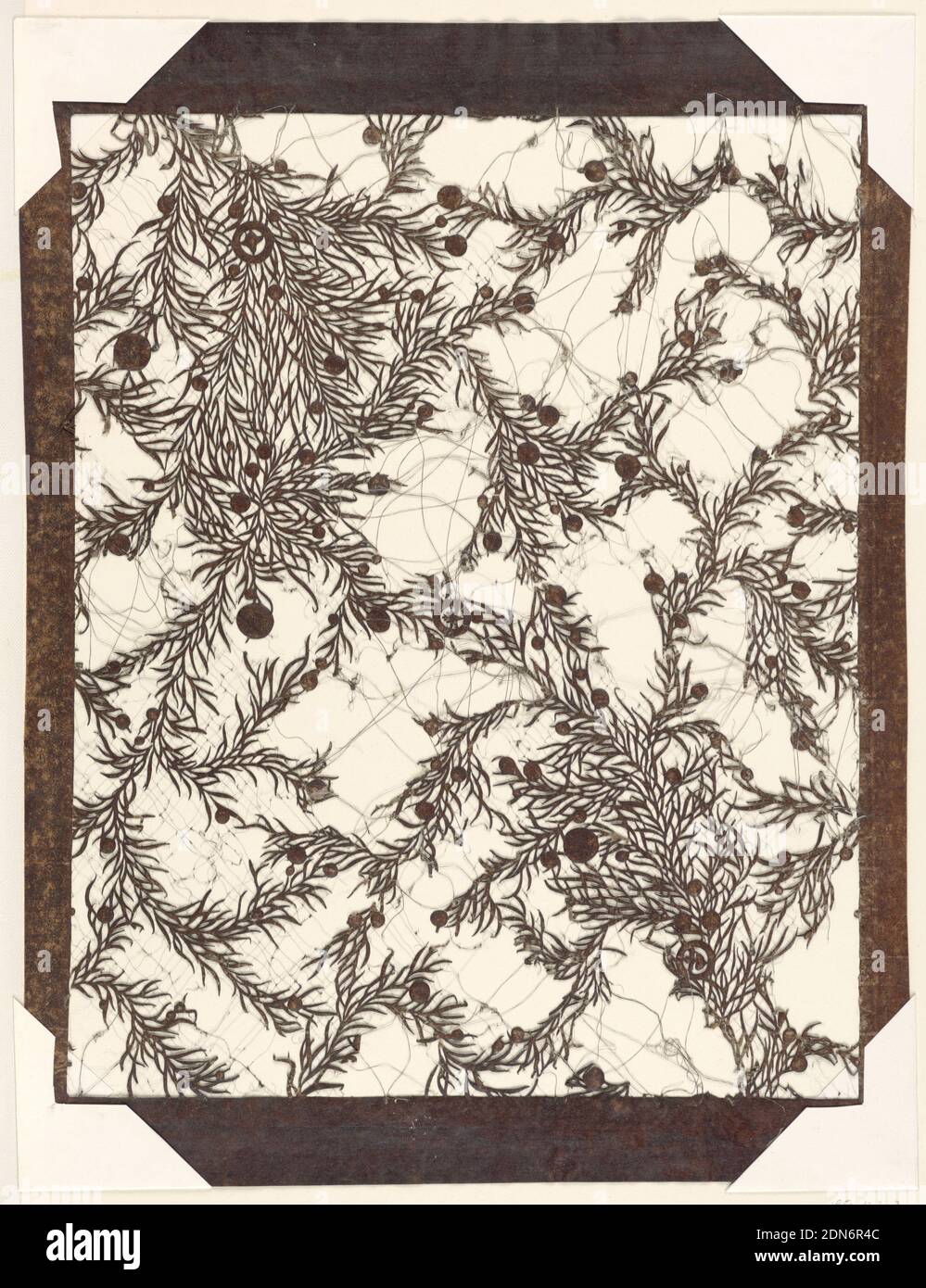 Juniper Leaves and Berries, Mulberry paper (kozo washi) treated with fermented persimmon tannin (kakishibu), and silk threads (itoire), A design of clumps of juniper branches and leaves with scattered berries of varying sizes is created by cutting away most of the ground leaving the positive of the design. The interstices of the design are supported by silk thread., 1780–1830, textile designs, Katagami, Katagami Stock Photo
