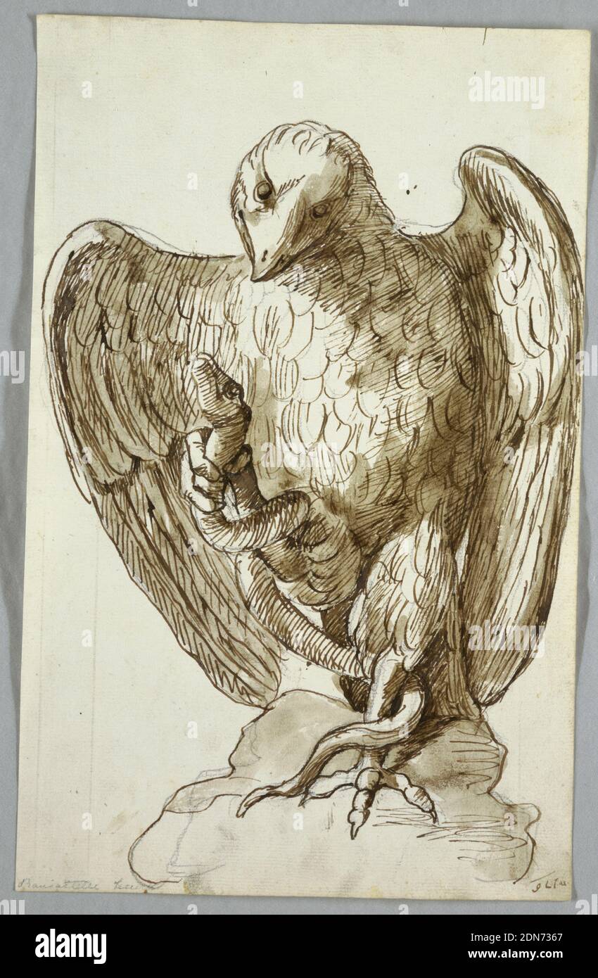 Right talon hi-res stock photography and images - Alamy
