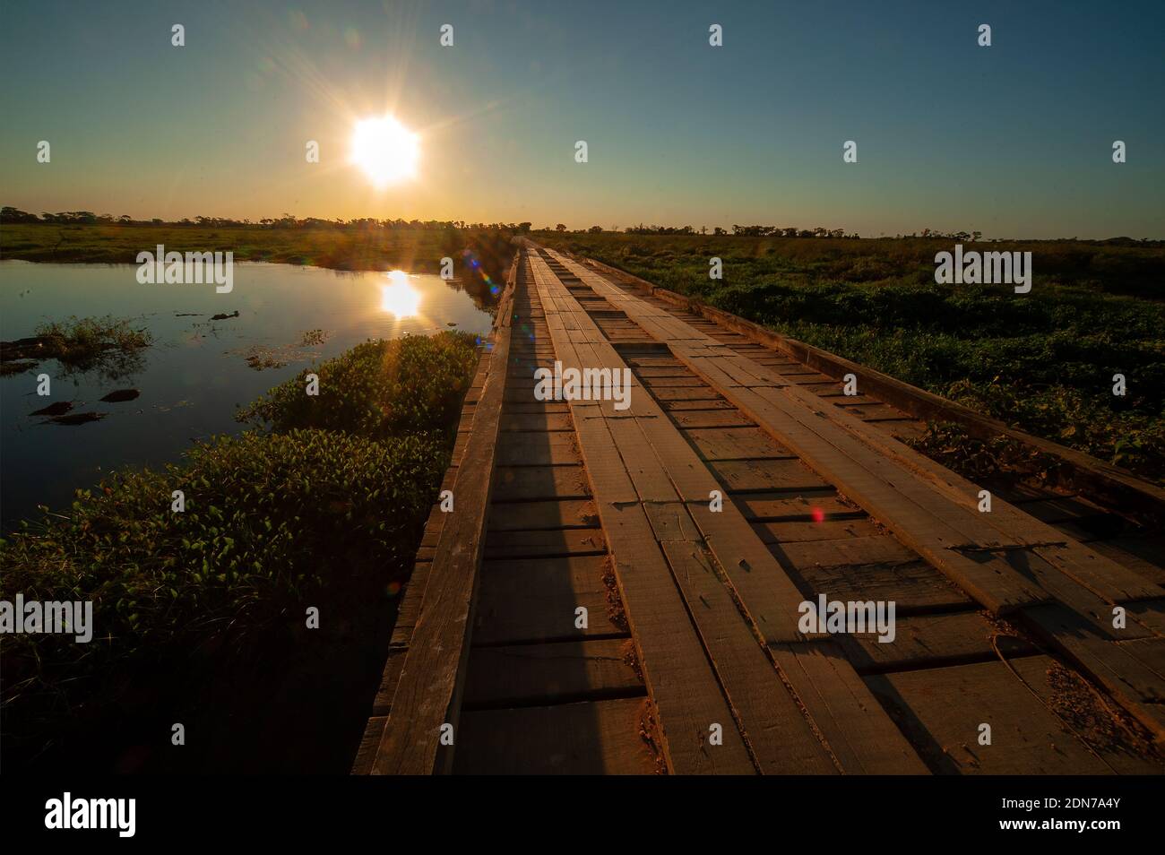 One of the hundred wooden bridges on the Transpantaneira, the road that crosses the Pantanal, Mato Grosso, Brazil Stock Photo