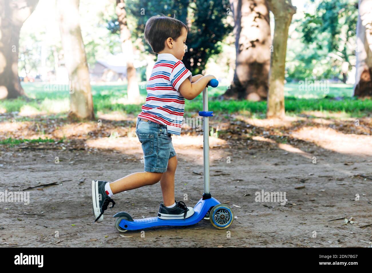 Child on kick scooter in park. Kids learn to skate roller board. Little boy skating on sunny summer day. Outdoor activity for children on safe street. Stock Photo