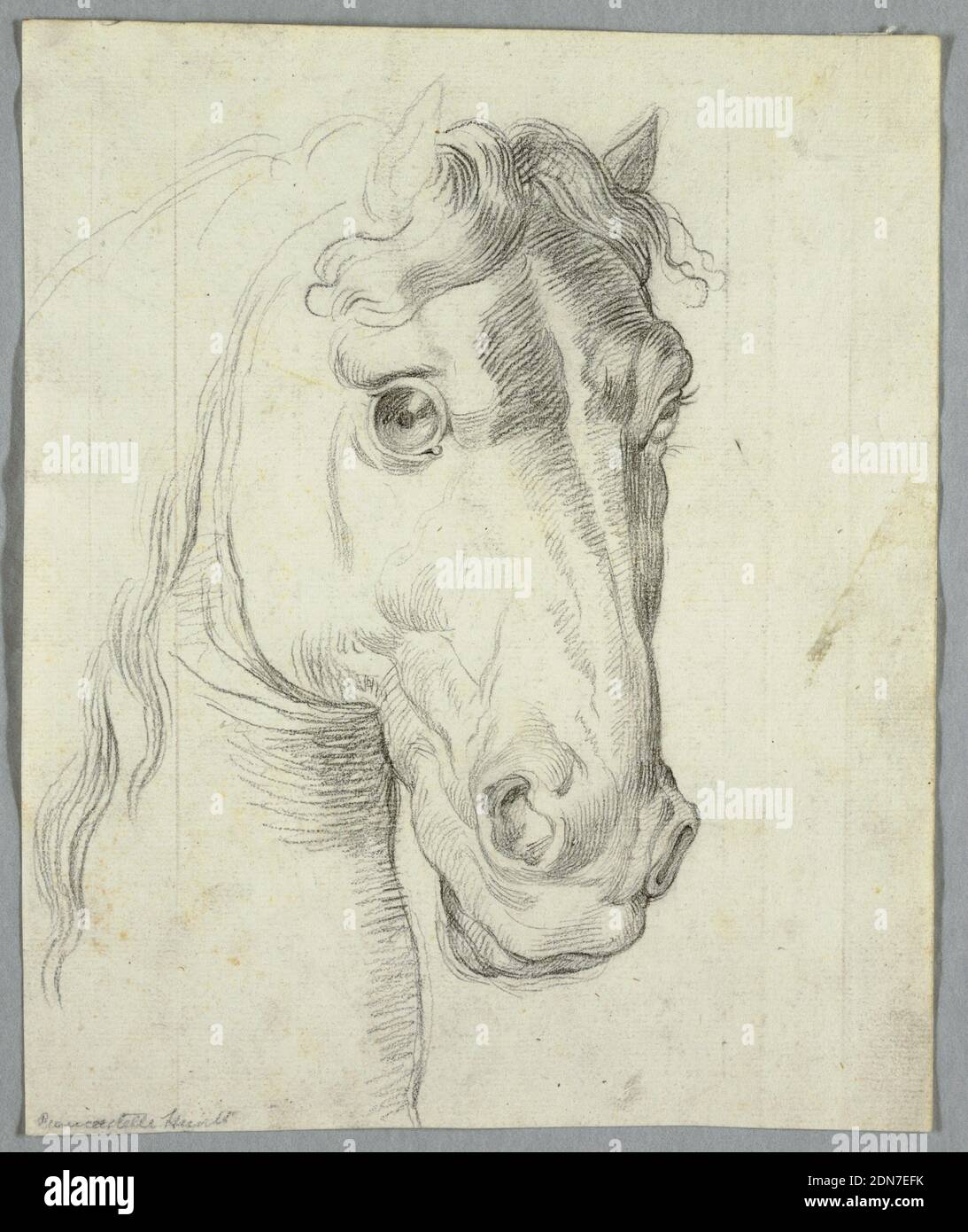Original Horse Charcoal Drawings For Sale  Saatchi Art