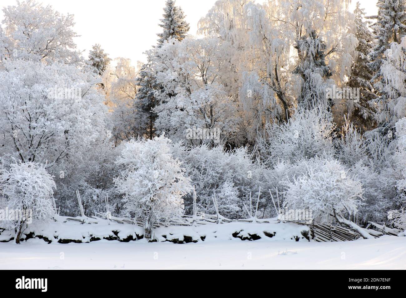 Fence in landscape hi-res stock photography and images - Alamy