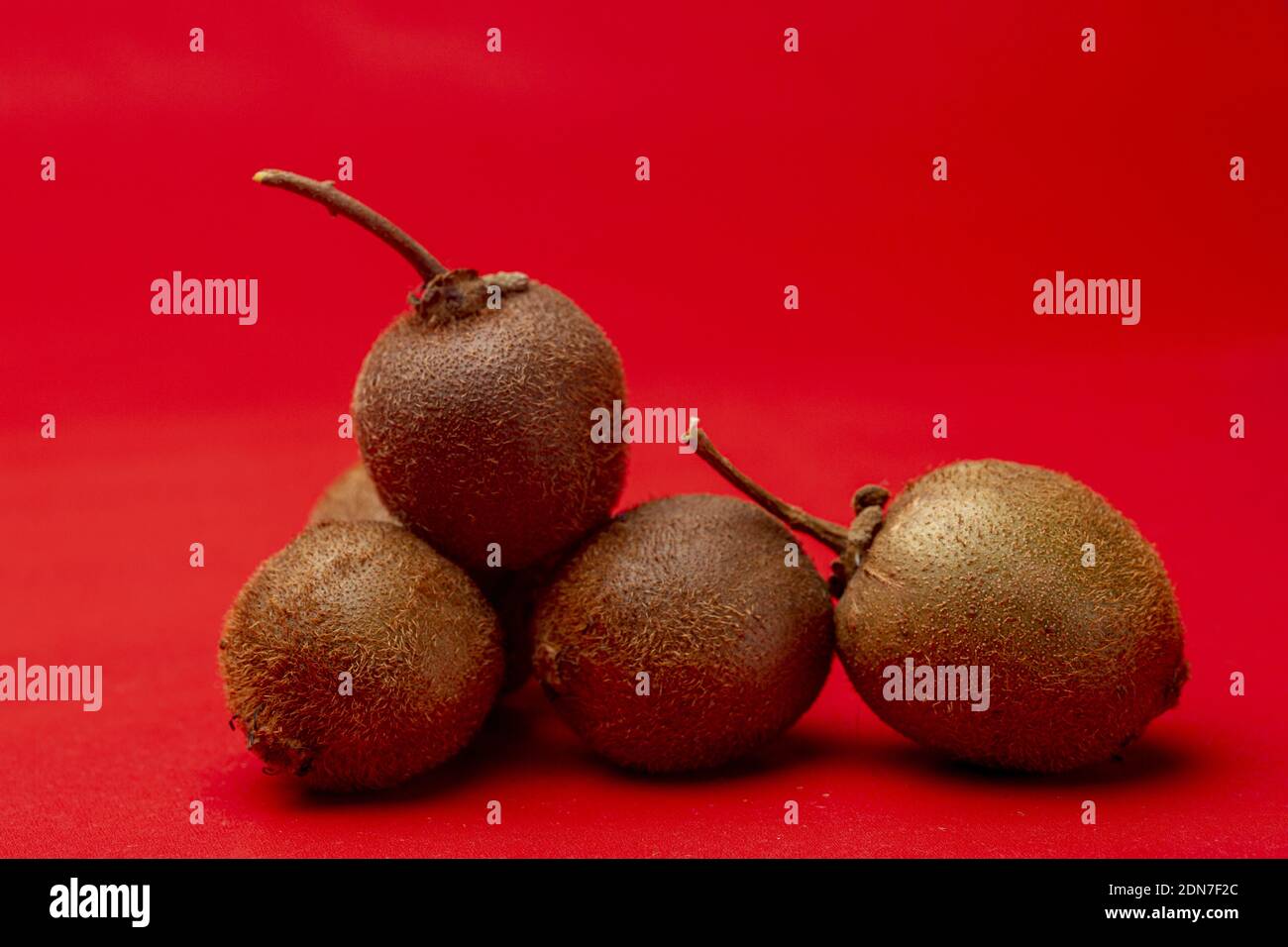 Group of tiny kiwifruit of Actinidia Deliciosa Setosa species against an intense even vibrant red background Stock Photo