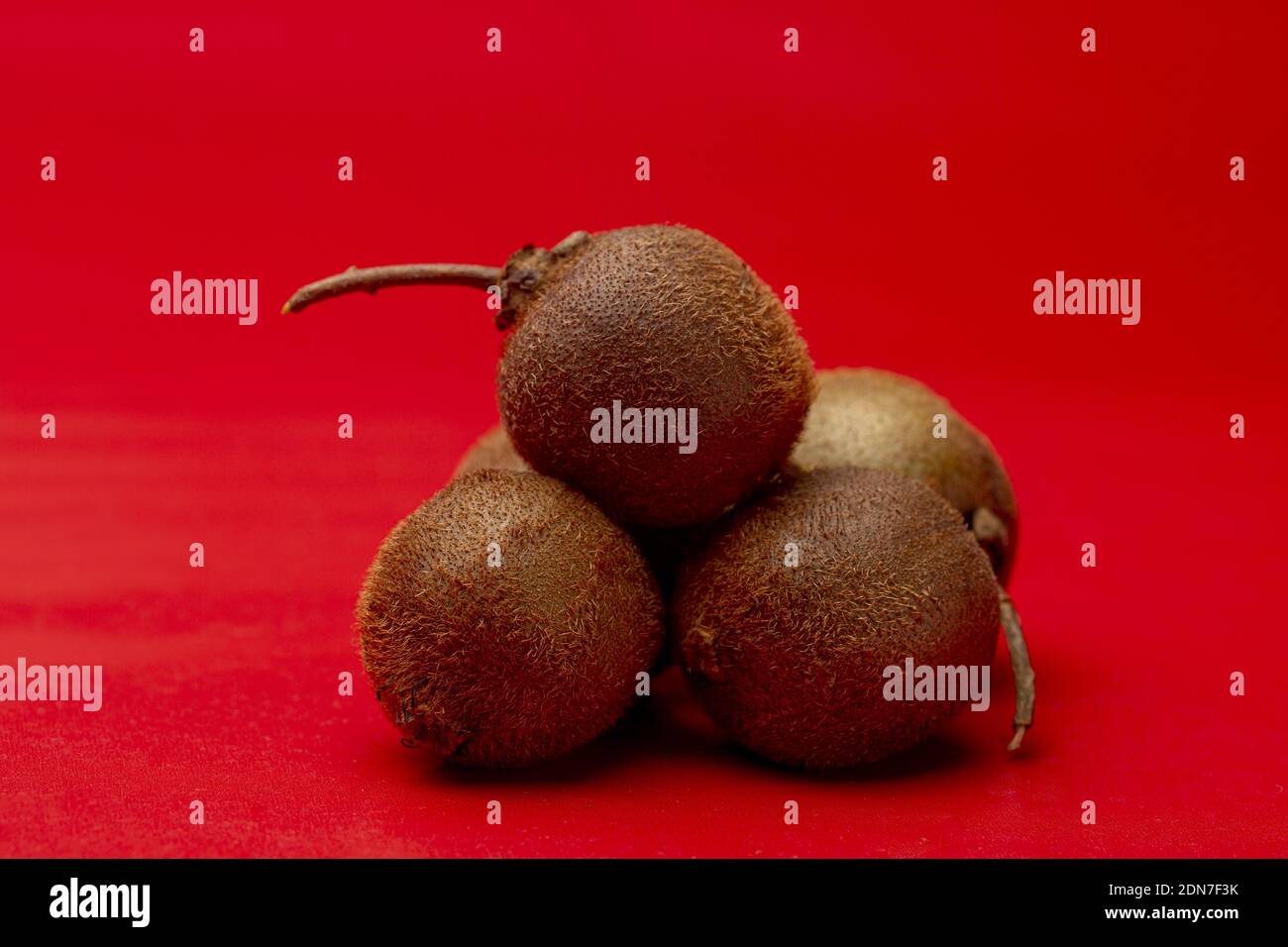 Primary red surface and background with several tiny kiwifruit or Actinidia Deliciosa Setosa on top of each other with a stem sticking out Stock Photo