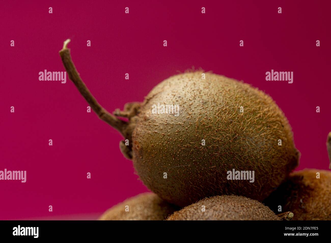 Texture and detail of tiny kiwifruit of Actinidia Deliciosa Setosa species with large stem sticking out Stock Photo