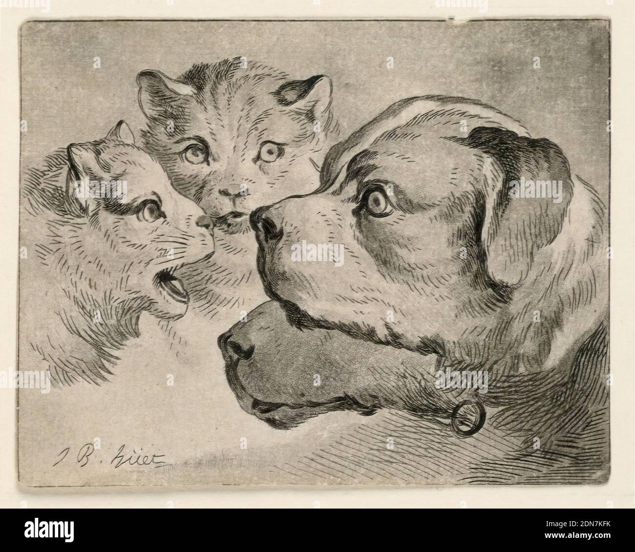 Cats And Dogs High Resolution Stock Photography And Images Alamy