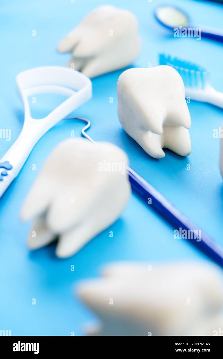 Dental Model And Dental Equipment On Blue Background, Concept Image Of