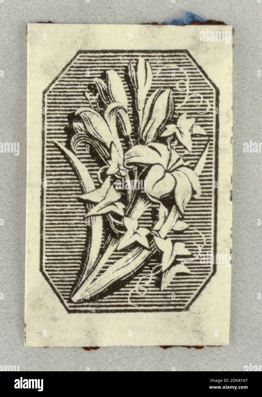 Wood engraving. Vignette., Engraving and etching, Flower bough against hatched, octagonal background., Europe and USA, 1800–1830, Wood engraving. Vignette Stock Photo