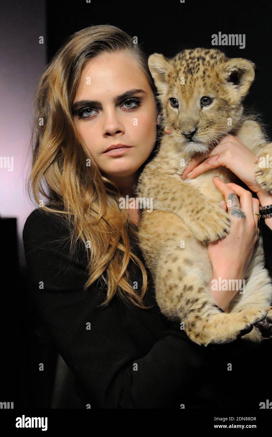 Cara delevingne tag heuer lion hotsell