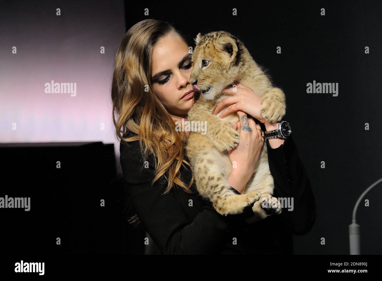 Cara Delevingne poses with a lion cub in her arms during the press