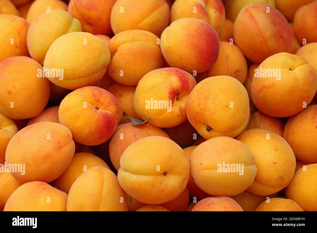Full Frame Shot Of Apricots Stock Photo