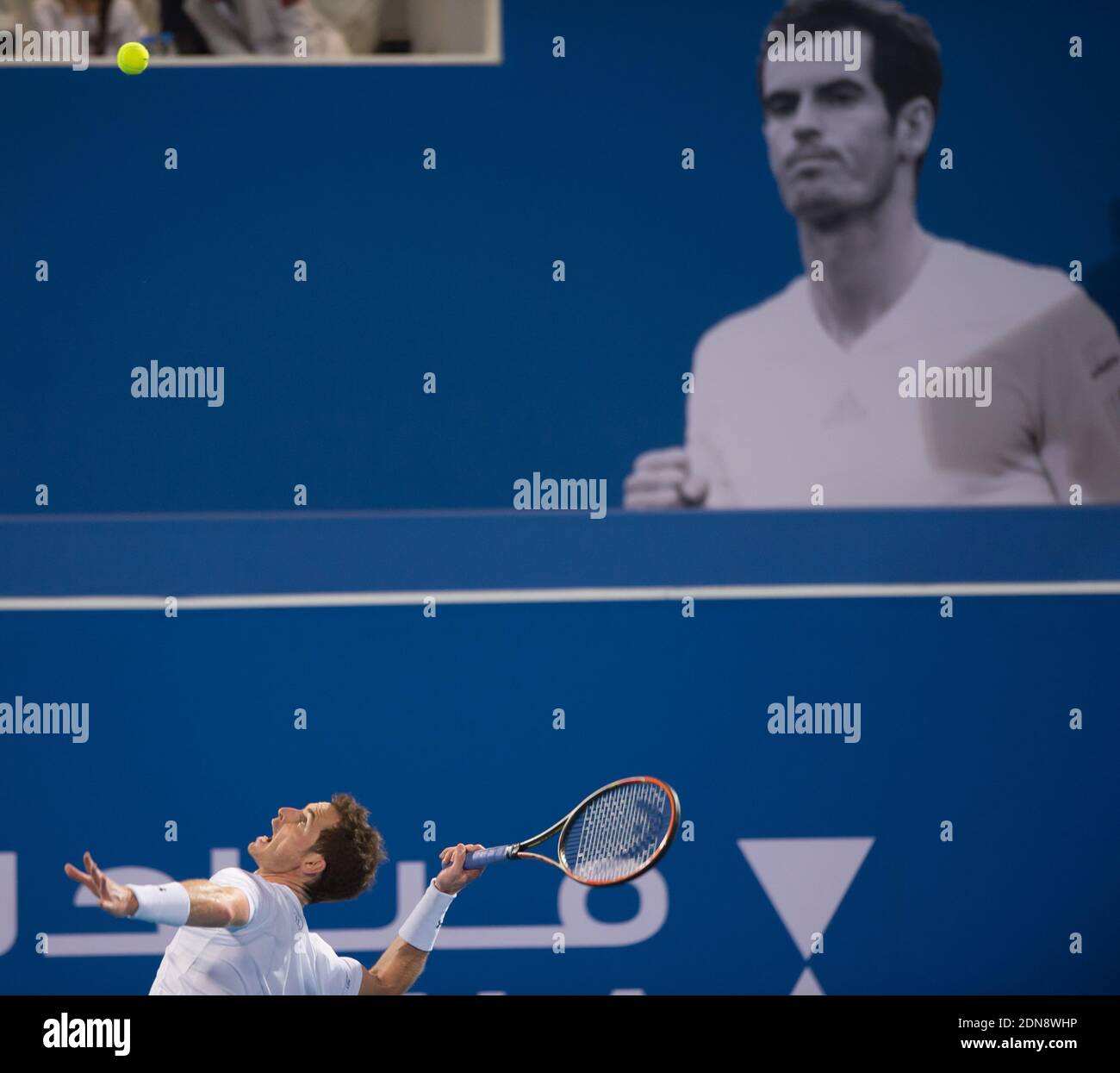 Andy Murray during the Mubadala World Tennis Championship in Abu Dhabi, UAE, on January 2, 2015. Photo by Christophe Guibbaud/ABACAPRESS.COM Stock Photo