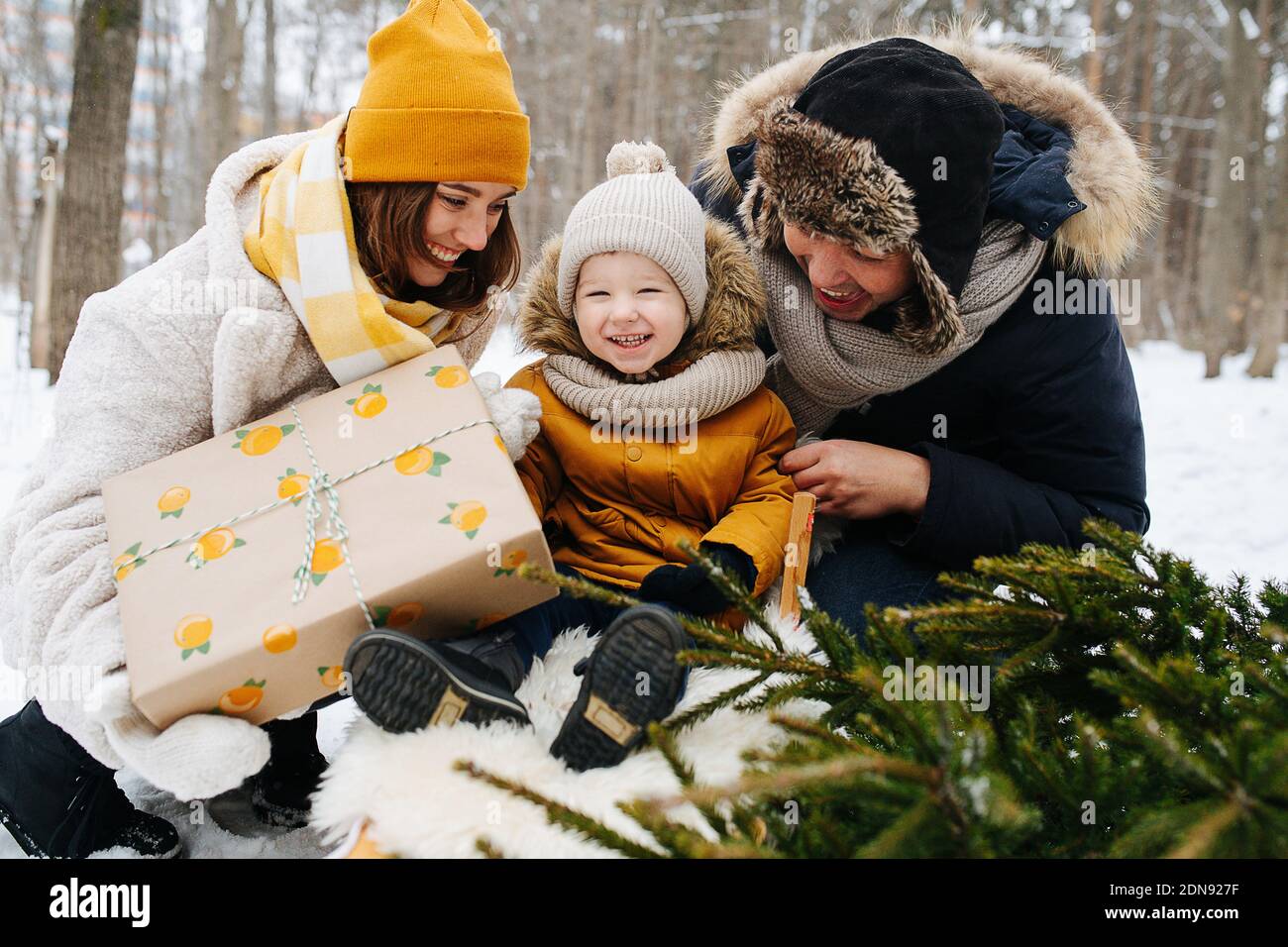 Family in the winter forest, a parent next to a toddler in a sleigh Stock Photo