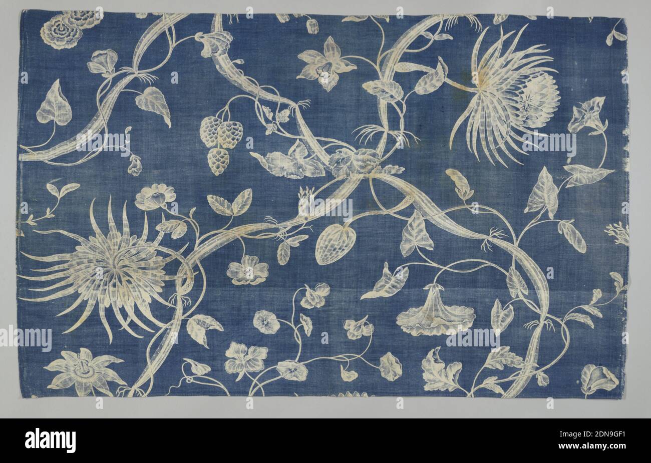 Indigo Label High Resolution Stock Photography And Images Alamy Indigo Label High Resolution Stock Photography And Images Alamy
