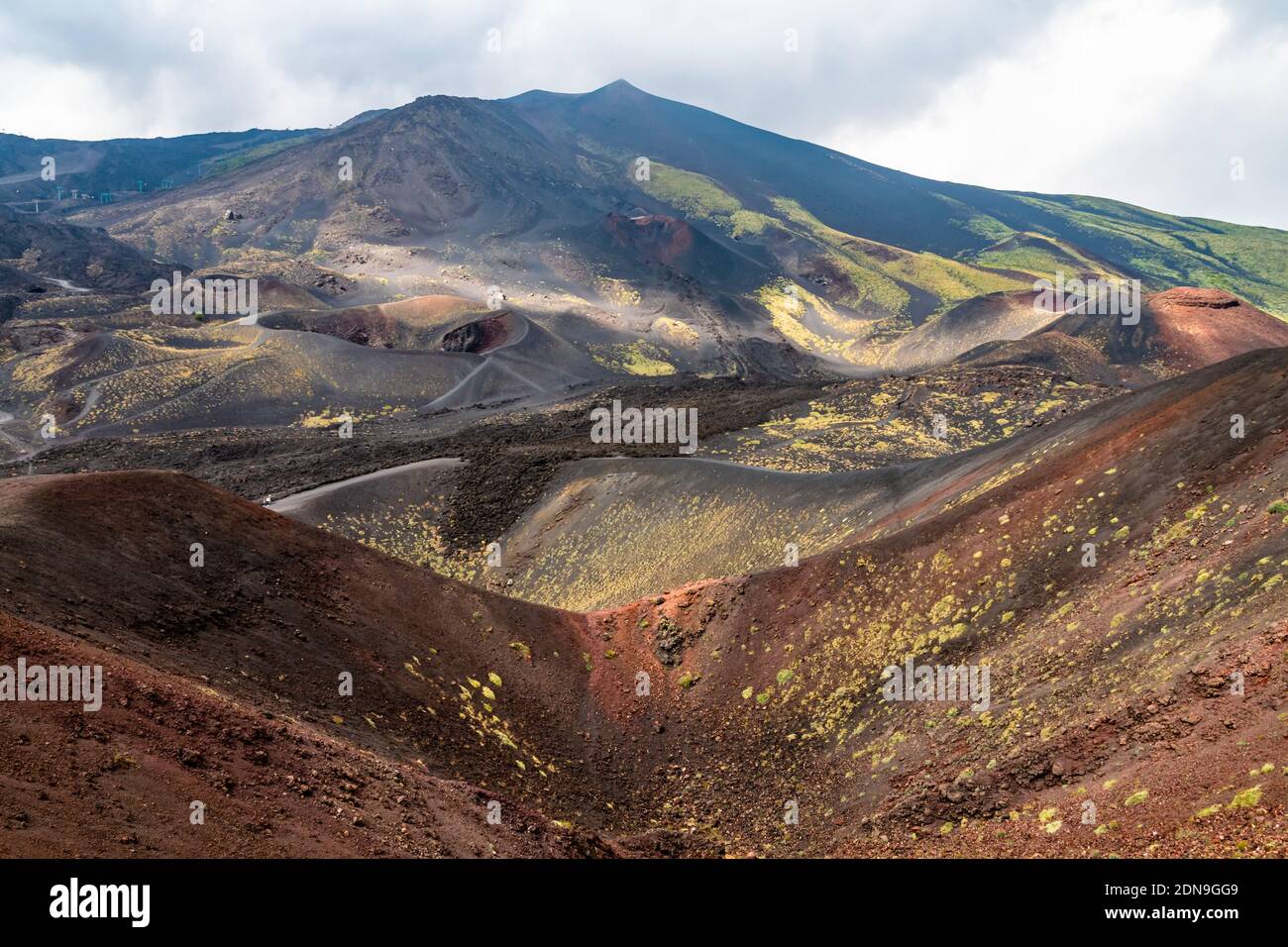 Mount Etna volcanic landscape and its typical vegetation, Sicily Stock Photo