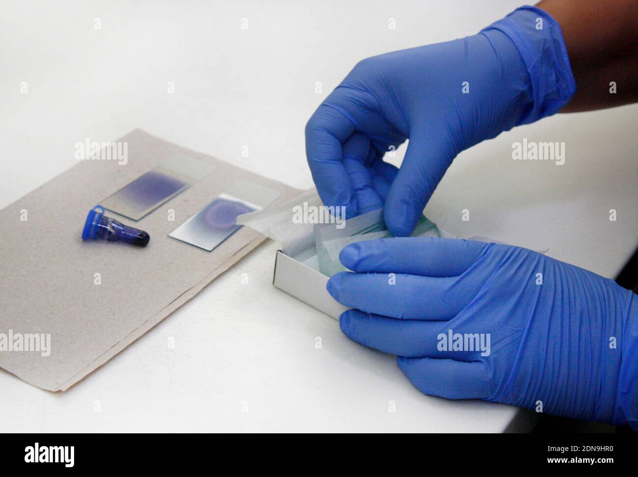 Sample slides hires stock photography and images Alamy