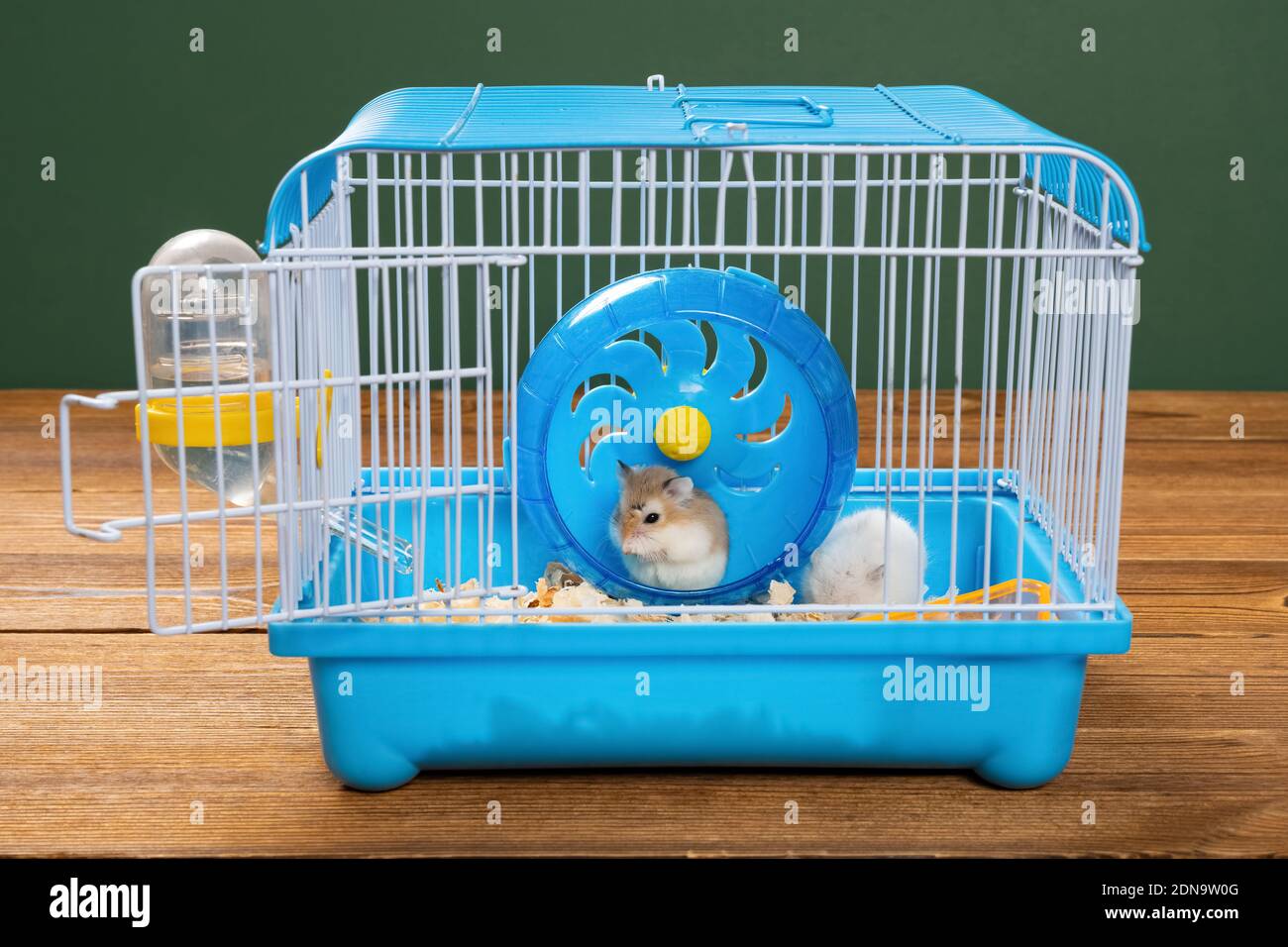smallest hamster cage