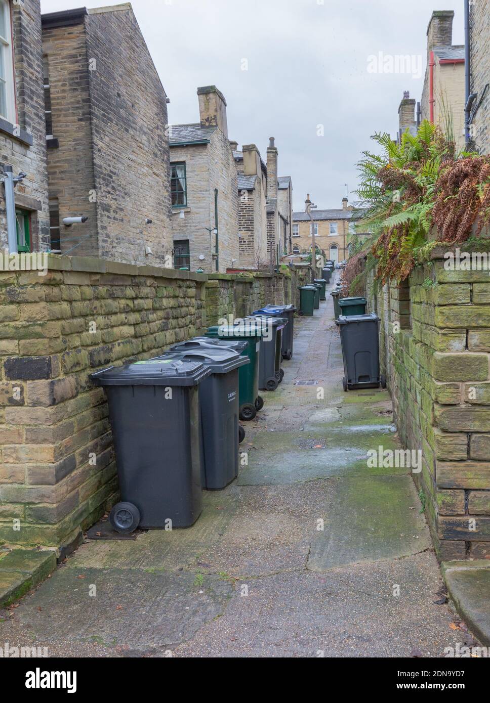 Wheelie bins in an alleyway between terraced housing in Saltaire, Yorkshire, England. Stock Photo