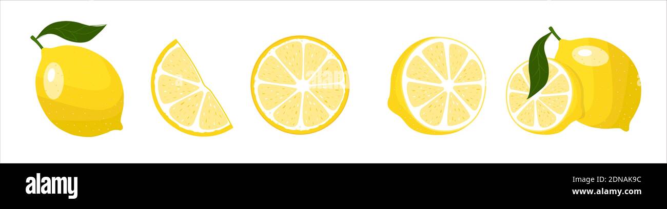 Lemon with leaves and slices, vector illustration in flat style, banner on white background Stock Vector